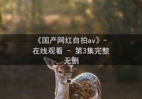 《国产网红自拍av》- 在线观看 - 第3集完整无删