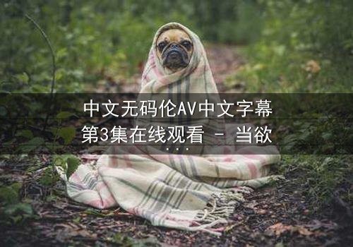 中文无码伦AV中文字幕第3集在线观看 - 当欲望与道德在暗夜中激烈碰撞