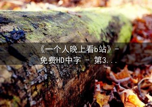 《一个人晚上看b站》- 免费HD中字 - 第3集完整无删