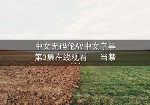 中文无码伦AV中文字幕第3集在线观看 - 当禁忌之恋遇上致命秘密